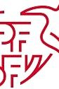 Switzerland National Football Team