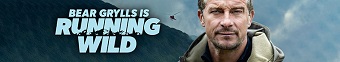 دانلود سریال Bear Grylls Is Running Wild