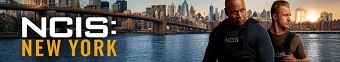 دانلود سریال NCIS: New York