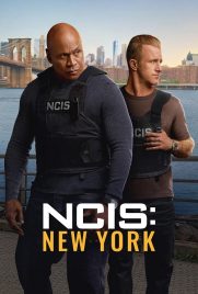 دانلود سریال NCIS: New York