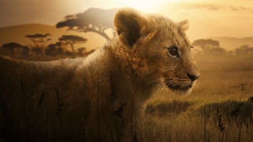 دانلود سریال Lion