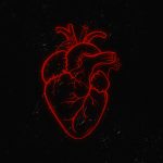 alisa.najary1515@gmail.c0m