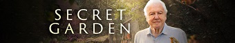 دانلود سریال Secret Garden
