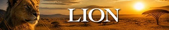 دانلود سریال Lion