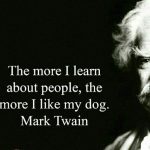 mihanpopup@gmail.com