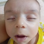 miladnzri