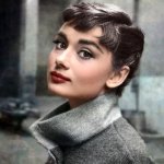 fatima.atshan