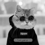 MISIM